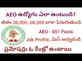 851 AEO Posts Job Profile Work Salary Pramotions TSPSC Agriculture Extension Officer Jobs