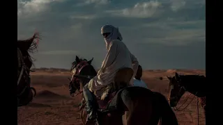 sherine sabry aleel slowed version