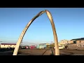 Where the Sun Never Sets: The Arctic Ocean’s Midnight Sun