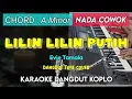 Download Lagu LILIN LILIN PUTIH - KARAOKE DANGDUT KOPLO || NADA COWOK