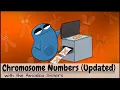 Chromosome Numbers Before and After Mitosis and Meiosis UPDATED