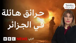 حرائق غابات جديدة في 10 ولايات جزائرية والسلطات تخمد معظمها 