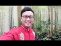 Download Lagu RINDU CAHAYA_MU, Music OFFICIAL !! Aji Syafa || Java Id. Dewi Caturwulandari