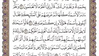 سورة البقرة الشيخ ياسر الدوسري صفحة ٦ دندنها