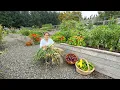 We Left for 8 Days The Garden Didn t Slow Down