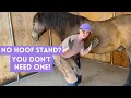 How to trim horse hooves WITHOUT a hoof stand