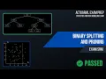4 2 Binary Splitting and Pruning