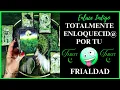 Download Lagu ❗🥶TU FRIALDAD Y TU ACTITUD DISTANTE LE TIENEN ENLOQUECID@🥶❗ SE NIEGA, ASI ES QUE PREPARATE⚠️TAROT💚
