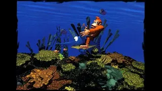 Donkey Kong Country Aquatic Ambiance Restored Extended NEW 2025 MIX Gamer Videogames 