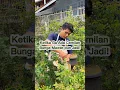 Download Lagu Serunya Nyemil Bunga Mawar Alexandrine! Coba Cita Rasa Unik Ini!