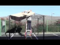 How to install a canopy for the Target Madaga Gazebo
