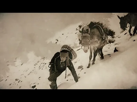 The Tea Explorer - A film by Andrew Gregg - Official Trailer