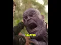 Download Lagu What did Groot say to Rocket in Infinity War???