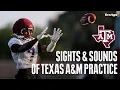 Sights Sounds Practice 6 of Texas A M s 2026 Fall Camp