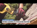 Smyrna neighbors clean up after severe weather
