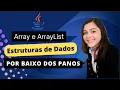 Arrays e ArrayList Conceitos Funcionamento Diferencas e Complexidades