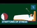 Download Lagu Terrible Symptoms Of Stress On The Body
