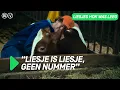Liesjes hok was leeg | 3LAB DOCU | NPO 3
