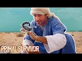Download Lagu Handling a LETHAL Desert Scorpion | Primal Survivor