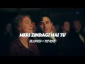 Meri Zindagi Hai Tu - Ost (Slowed + Reverb) | Asim Azhar & Sabri Sisters | Kaise Dil Lage Hai Tu 