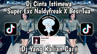 dj cintaku istimewa super exc naldyfreak x besi tua viral tiktok 2024 yang kalian cari 