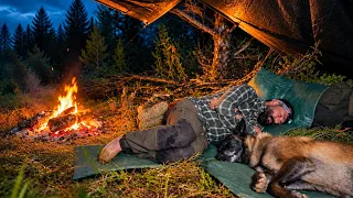 Heavy Rain All Night… 3 Days in the Wilderness with My Dog
