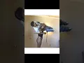 Beautiful amazon Bunny Glamazon lifting her short king