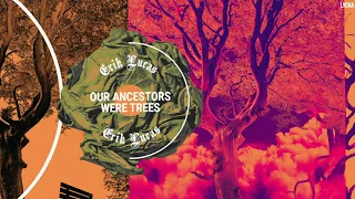 erik lucas our ancestors were trees original mix 