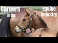 Careers in the Equine Industry Part One
