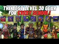 Wizard101 The ULTIMATE Level 30 Gear Guide