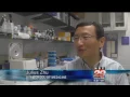 UVA New Technique Will Help in Search for New Cancer Treatments