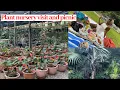Sarius Palmetum Botanical Garden and Plant Nursery The biggest botanical garden in Abuja Nigeria