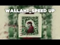 Shaw-wallahi //speed up