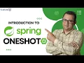 Introduction To Spring In Oneshot