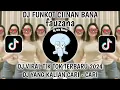 Download Lagu DJ FUNKOT CIINAN BANA VIRAL TIKTOK TERBARU 2024-DJ FUNKOT VIRAL TIKTOK-DJ ALMIRA BERTO-CIINAN BANA