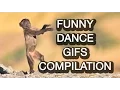 Funny Dance gifs Compilation - Best dance gifs and fail compilation 2016