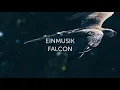 Einmusik - Falcon