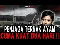 Download Lagu TEROR POCONG DI PETERNAKAN AYAM..!! 2 HARI LANGSUNG KELUAR..!!