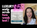 HAIR DAMAGE SUFFERER TESTS CHRISTOPHE ROBIN PURIFYING SCALP SCRUB TWO WEEK REVIEW