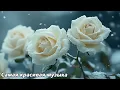 Download Lagu Слушайте, чтобы почувствовать умиротворение🌿Лучшие мелодии в мире🌿Прекрасная музыка Сергея Грищука