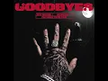 Post Malone - Goodbyes ft Young Thug Vocals Only