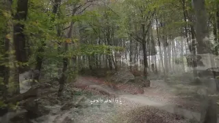 ابتهالات   السيد رضا نور الدين دندنها