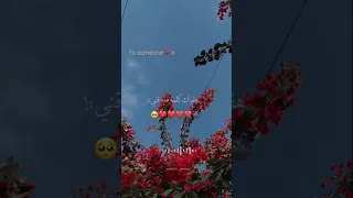 هقولك كلمة صدقني مفيش قبليك ولا بعديك  تصميمي          حالات واتس  بتاع     دندنها