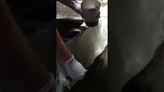 Episode 6 preview #totalboat #fiberglass