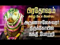 Download Lagu 🔴 பிரதோஷம் திருவண்ணாமலை அருள்மிகு அருணாச்சலேஸ்வரர் கோயில் நந்தி போற்றி சிறப்பு அபிஷேகம் பாடல்