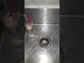Suara Air keran bersuara #shorts