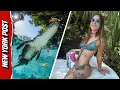 Florida Woman Fatally Torn to Shreds by Monstrous Alligator in Heartbreaking Surprise Attack