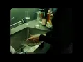 All Too Well - Discussão The Short Film [Tradução/Legendado]