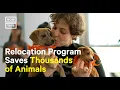 How This One Program Saves Thousands of Animal Lives