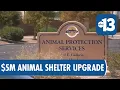 Henderson approves 5 million renovation for animal protection facility